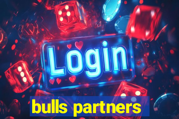 bulls partners